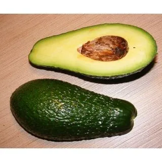 Compra AGUACATE PINKERTON en la tienda online Fito Agrícola