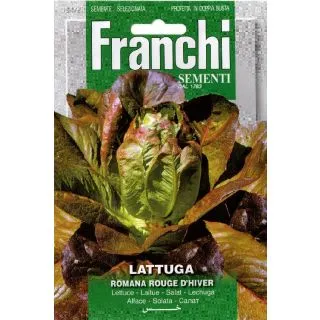 Compra LECHUGA ROUGE D'HIVER (4 gr.). en la tienda online Fito Agrícola