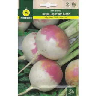 Compra NABO PURPLE TOP WHITE GLOBE (12 gr.). en la tienda online Fito Agrícola