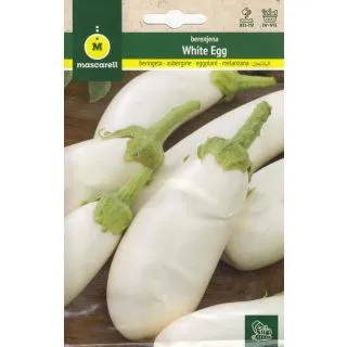 Compra BERENJENA WHITE EGG (1 gr.). en la tienda online Fito Agrícola
