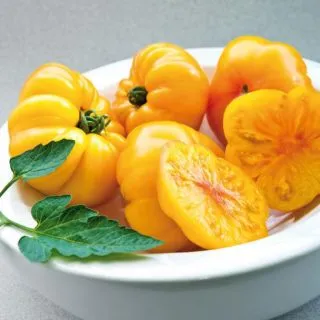 Compra TOMATE MARGOLD F1 BIO (1000 Semillas). en la tienda online Fito Agrícola