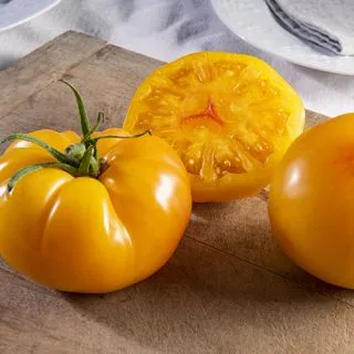 Compra TOMATE MARSUNNY F1 (1000 Semillas). en la tienda online Fito Agrícola