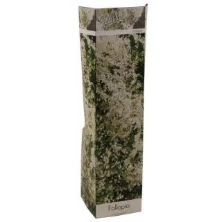 Compra FALLOPIA (1 Unid.). en la tienda online Fito Agrícola