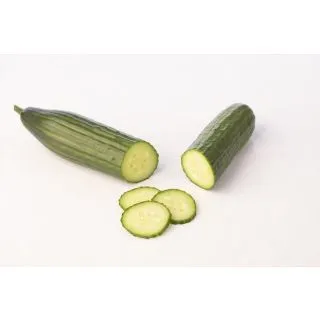 Compra PEPINO ABETO F-1 (1.000 Semillas) en la tienda online Fito Agrícola