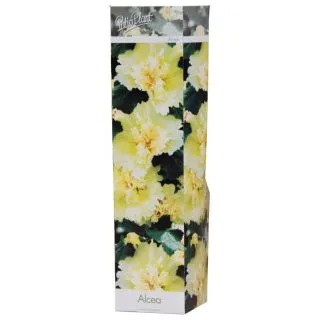 Compra ALCEA ROSEA LEMON (1 Unid.). en la tienda online Fito Agrícola