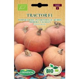 Compra CALABAZA TRACTOR F1 BIO (500 Semillas). en la tienda online Fito Agrícola