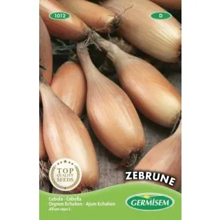 Compra CEBOLLA ECHALION ZEBRUNE (50 gr.). en la tienda online Fito Agrícola