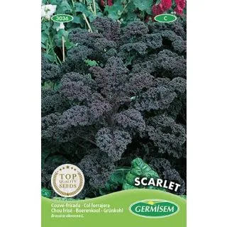 Compra COL KALE SCARLET (50 gr.). en la tienda online Fito Agrícola