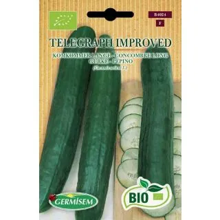 Compra PEPINO TELEGRAPH IMPROVED BIO (10 Semillas). en la tienda online Fito Agrícola