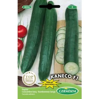 Compra PEPINO KANECO F1 (1000 Semillas). en la tienda online Fito Agrícola