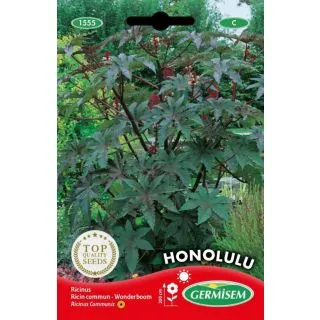 Compra RICINO HONOLULU (2 gr.). en la tienda online Fito Agrícola