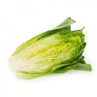 Compra LECHUGA GALACTITA RZ Pildorada (5.000 Semillas). en la tienda online Fito Agrícola