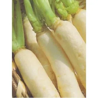 Compra NABO DE CROISSY (250 gr.) en la tienda online Fito Agrícola