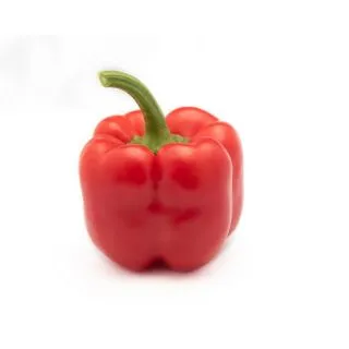 Compra PIMIENTO VOLTIO F1 (1.000 Semillas) en la tienda online Fito Agrícola