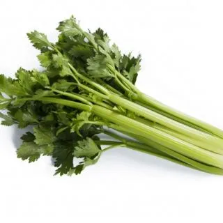 Compra APIO NANAKI RZ F1 Pildorado (10.000 Semillas) en la tienda online Fito Agrícola