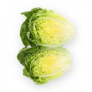 Compra LECHUGA ALCOY RZ Pildorada (5.000 Semillas) en la tienda online Fito Agrícola