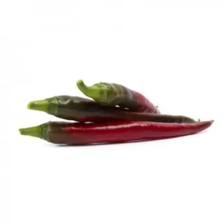 Compra PIMIENTO PIETRO RZ F1 Precisión (1000 Semillas). en la tienda online Fito Agrícola