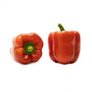 Compra PIMIENTO CLAVESOL RZ F1 Precisión (1000 semillas). en la tienda online Fito Agrícola