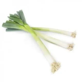 Compra PUERRO SPHEROS RZ F1 Pildorado (5.000 Semillas). en la tienda online Fito Agrícola