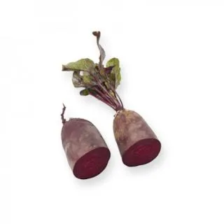 Compra REMOLACHA CARILLON RZ Precisión (100.000 Semillas) en la tienda online Fito Agrícola