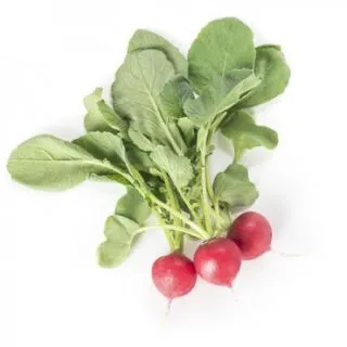 Compra RABANITO BELSAY RZ F1 Precisión (25.000 Semillas) en la tienda online Fito Agrícola