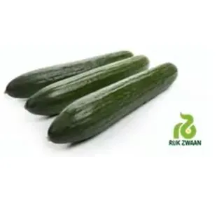 Compra PEPINO FORAMI RZ F1 Precisión (1000 Semillas). en la tienda online Fito Agrícola