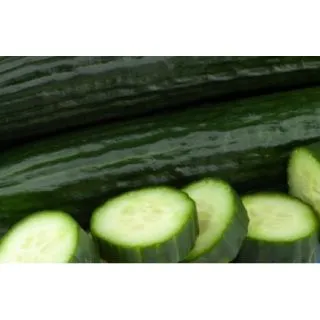 Compra PEPINO SEDAL F1 (1.000 Semillas) en la tienda online Fito Agrícola