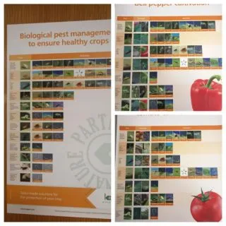 Compra POSTER INSECTOS ÚTILES GRATIS (1 Unidad) en la tienda online Fito Agrícola