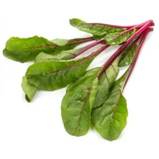 Compra ACELGA CHARBELL RZ F-1 Precisión (100.000 Semillas) en la tienda online Fito Agrícola