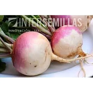 Compra NABO FALKO F-1 (100 gr.). en la tienda online Fito Agrícola