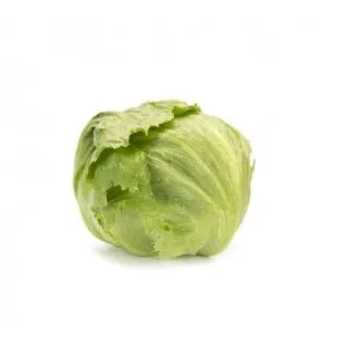 Compra LECHUGA DIURNAS RZ Pildorada (5.000 Semillas). en la tienda online Fito Agrícola