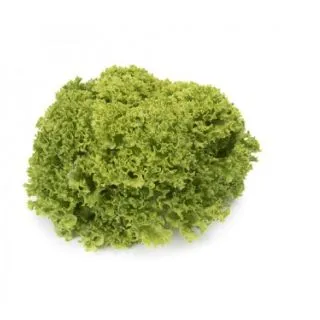 Compra LECHUGA LIMASSOL RZ Pildorada (5.000 Semillas). en la tienda online Fito Agrícola