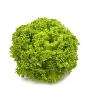 Compra LECHUGA LINARO RZ Pildorada (5.000 Semillas). en la tienda online Fito Agrícola