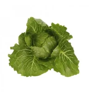 Compra LECHUGA MALENITA RZ Pildorada (5.000 Semillas). en la tienda online Fito Agrícola