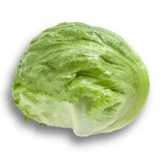 Compra LECHUGA SUMARNAS RZ Pildorada (5.000 Semillas). en la tienda online Fito Agrícola