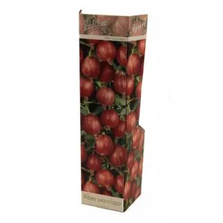 Compra UVA CRISPA ROJA (1 Unid.) en la tienda online Fito Agrícola