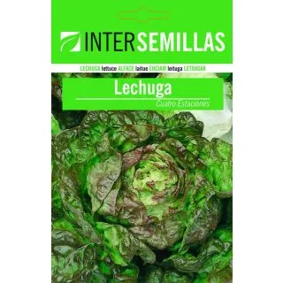 Compra LECHUGA MARAVILLA CUATRO ESTACIONES (100 gr.). en la tienda online Fito Agrícola