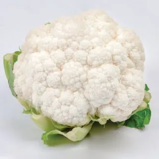 Compra COLIFLOR MARMOREX F1 (2.500 Semillas) en la tienda online Fito Agrícola