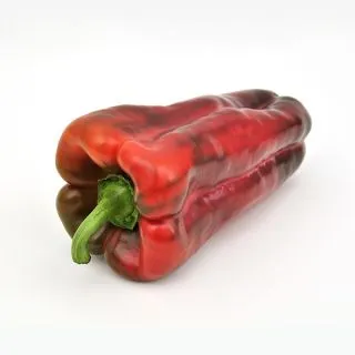 Compra PIMIENTO BAQUERO F1 (1.000 Semillas) en la tienda online Fito Agrícola