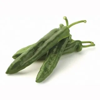 Compra PIMIENTO ITALRESS F1 (1.000 Semillas) en la tienda online Fito Agrícola