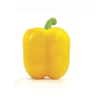 Compra PIMIENTO TALLANTE F-1 (1000 Semillas). en la tienda online Fito Agrícola