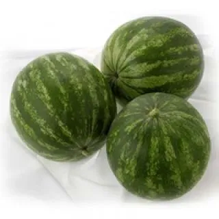 Compra SANDÍA ROMALINDA F1 (1.000 Semillas). en la tienda online Fito Agrícola