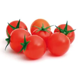 Compra TOMATE LUPITAS F1 (1.000 Semillas). en la tienda online Fito Agrícola