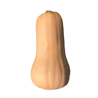 Compra CALABAZA DORIN F1(1.000 Semillas) en la tienda online Fito Agrícola