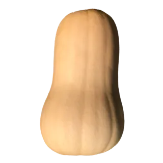 Compra CALABAZA DENIS F1 (1.000 Semillas) en la tienda online Fito Agrícola