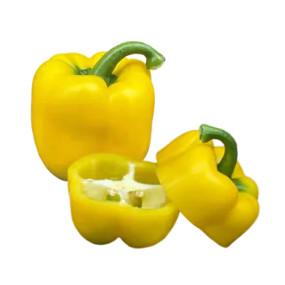 Compra PIMIENTO BIBIGI F1 (1.000 Semillas) en la tienda online Fito Agrícola