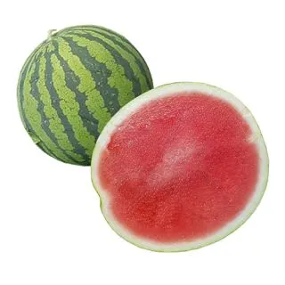 Compra SANDÍA PALADAR F1 (1.000 Semillas) en la tienda online Fito Agrícola