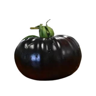 Compra TOMATE ENSALADA LILA F1 (1.000 Semillas) en la tienda online Fito Agrícola