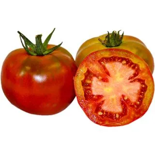 Compra TOMATE POMETA Sel. Diamond (1.000 Semillas) en la tienda online Fito Agrícola