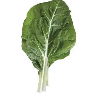 Compra ACELGA LUSIANA (50.000 Semillas) en la tienda online Fito Agrícola